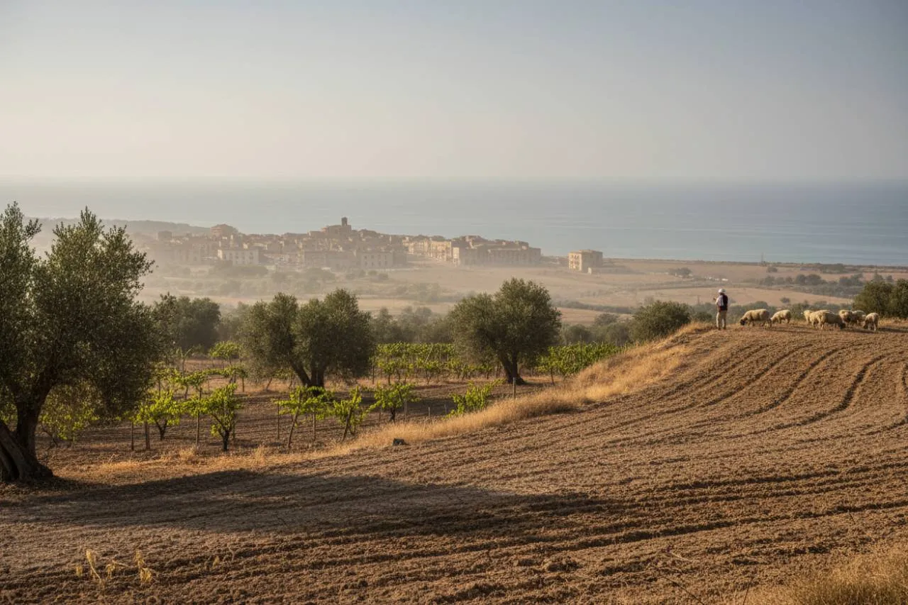 Conseguenze drammatiche e futuro incerto