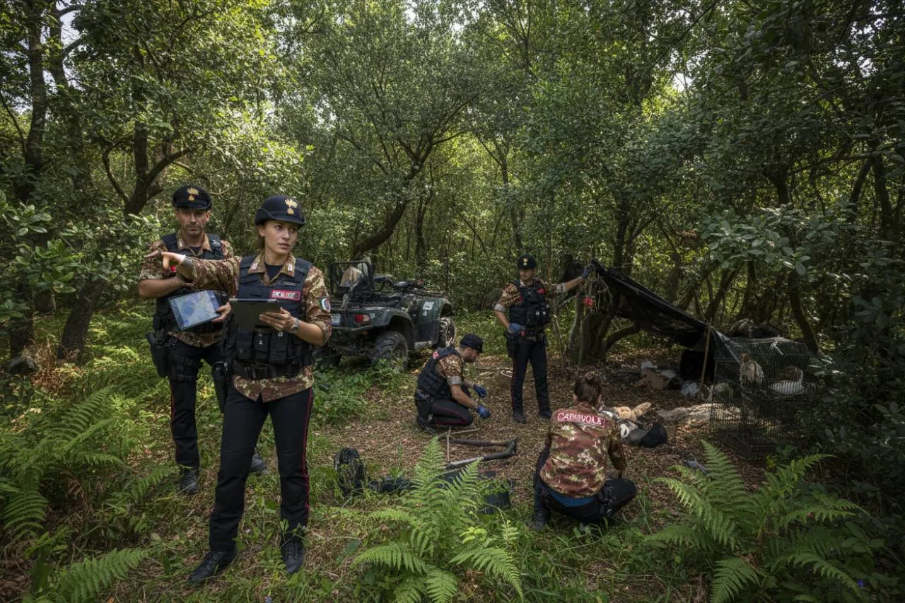 L'impegno costante dell'arma e la lotta al crimine ambientale